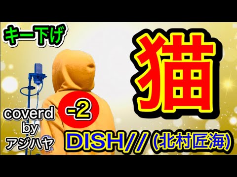 【キー下げ(-2)】猫／DISH//(北村匠海)【歌ってみた】低音男性キー カラオケ(cover by アジハヤ)