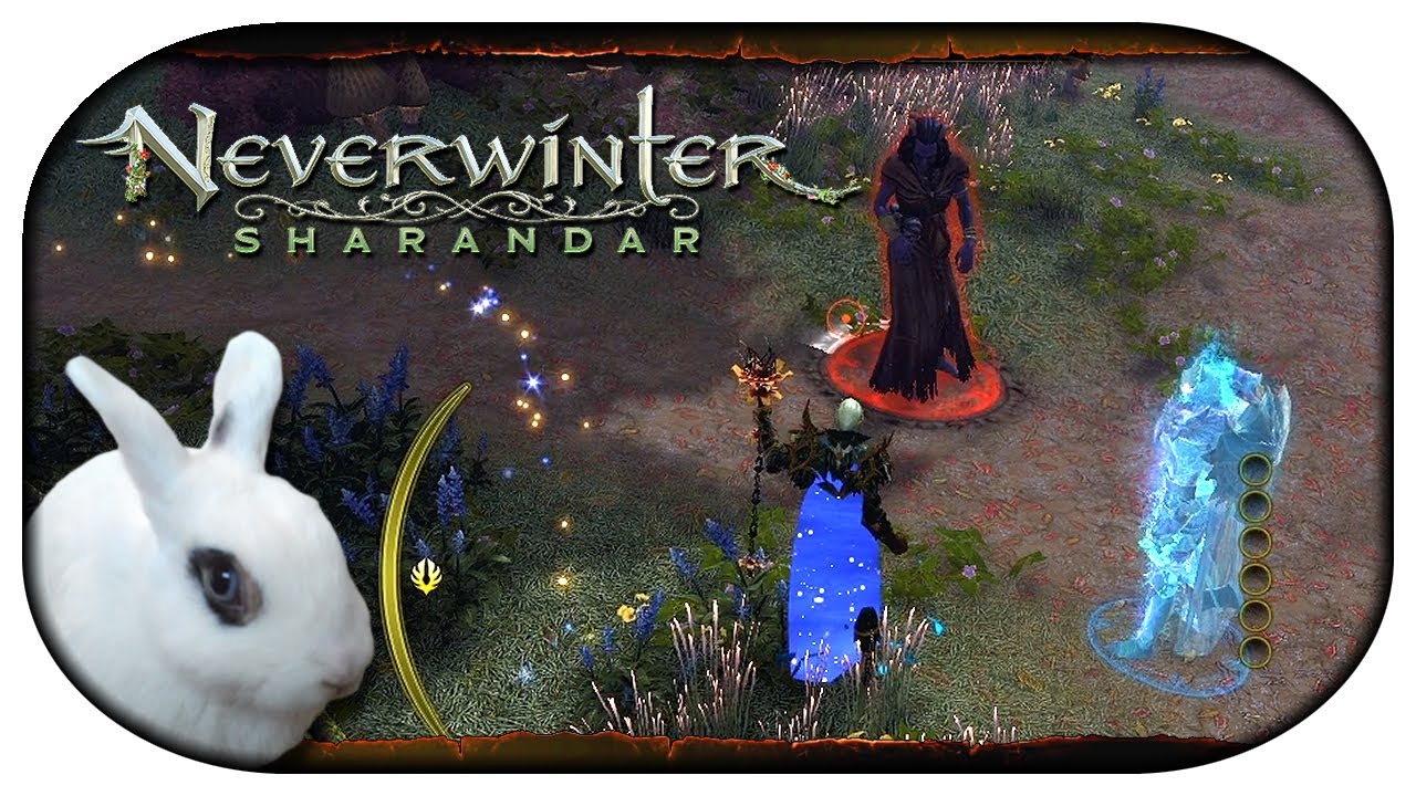 NEVERWINTER: Sharandar 🐇 10 - Jagd auf die Jäger [Mod 20]