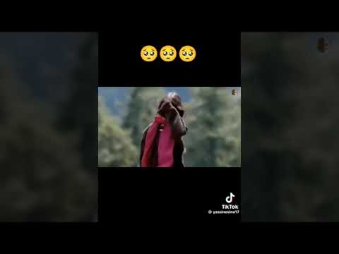 قولو لما الحنانة راني مغبون أغنية تستحق المشاهدة