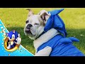Sonic The Hedgedog: Act 1