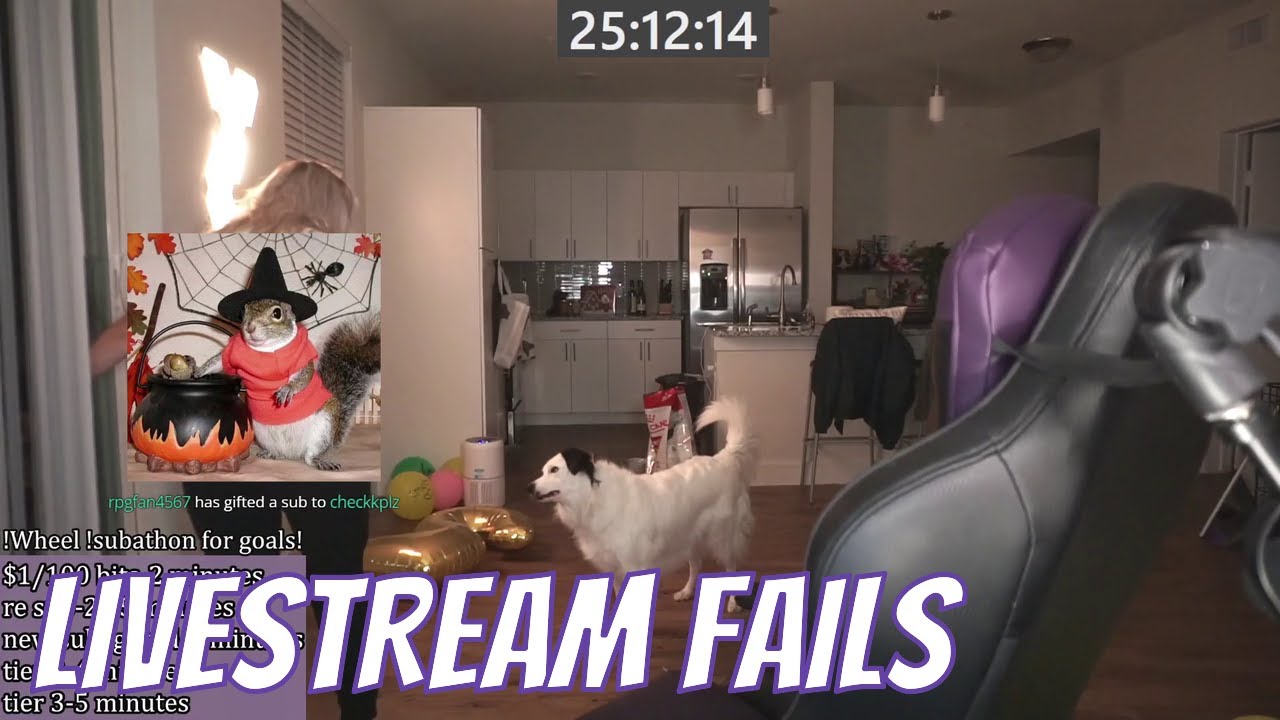 Dog attempts their best QT impression | Livestream Fails (emilycc, xQcOW, ludwig)