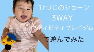 【赤ちゃん喜ぶ】日本育児ひつじのショーン3WAYアクティビティプレイジムで遊んでみた。