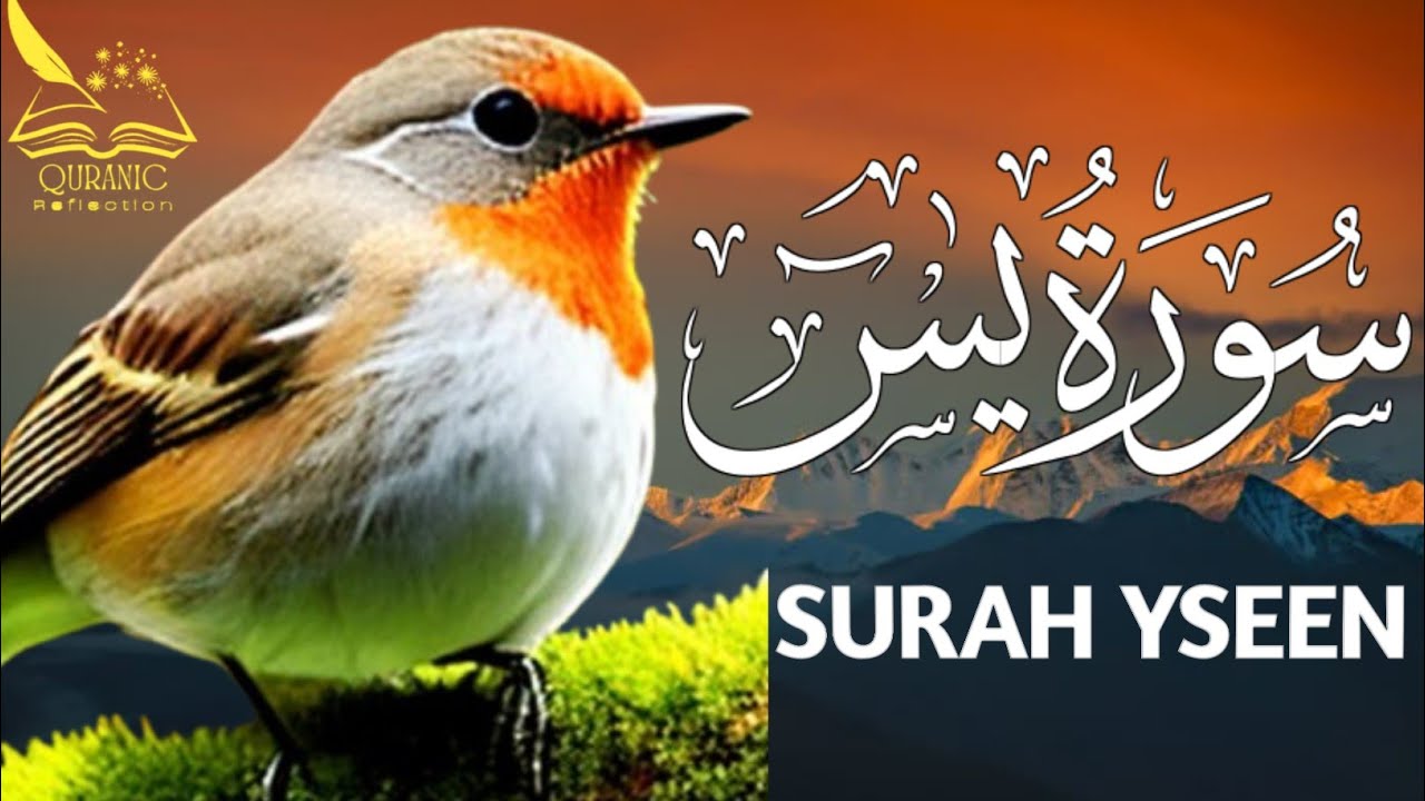 Surah Yasin  (یٰس)  Best Recitation By Sheikh Alaa Aqel | Quranic Reflection