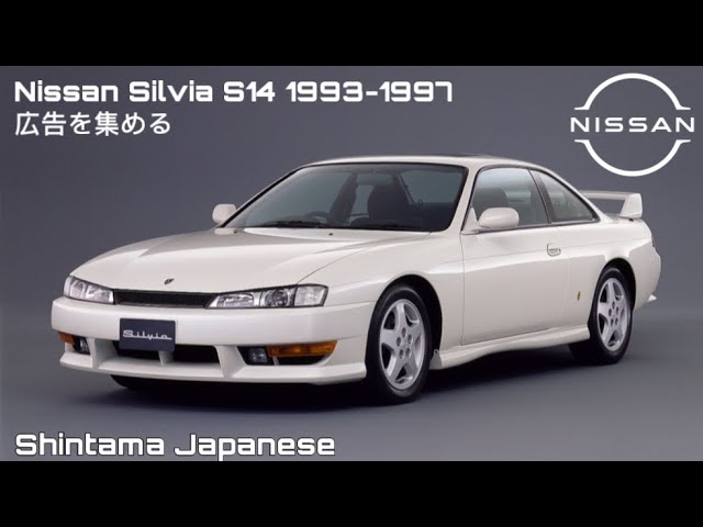 MICHAEL様 発送前 確認用出品 Silvia 14 MICHAEL様 発送前 確認用出品 Silvia 14 毎月13・14・15日は特典
