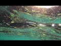 Afternoon swim at dahab bay music volcanic rainbow by eilam pniel swimtv musictv