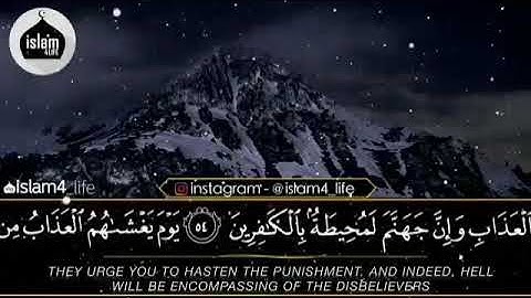 #تلاوات #ماهر_المعيقلي #ياسر_الدوسري #ناصر_القطامي #السديس #خالد_الغامدي(66)