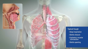 3D Animation Video | Cough