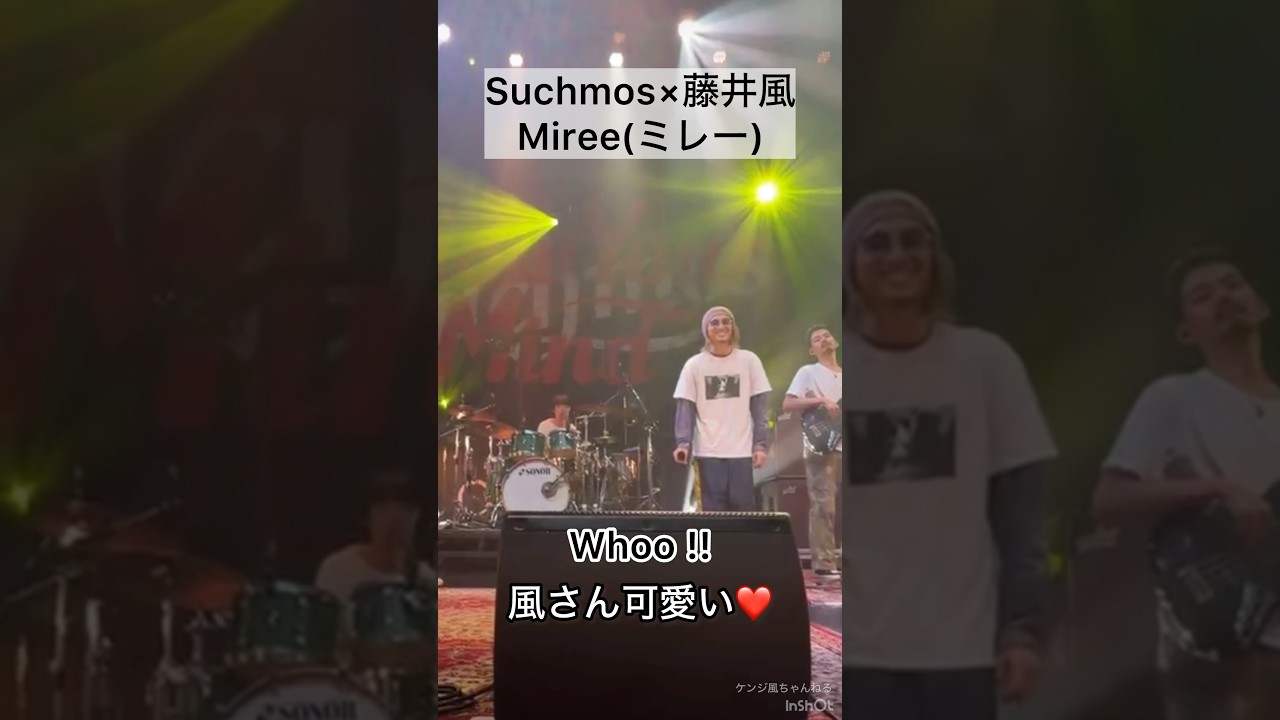 【リズム感可愛い❤️】リラックスしてライブを楽しんでる風さん♪ Suchmos×藤井風 Miree(ミレー) #藤井風 #fujiikaze #shorts #サチモス #suchmos #live
