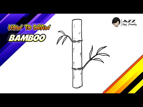 Video: How To Draw Bamboo