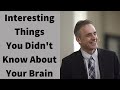 Jordan Peterson ~ Interesting Things You Probably Didn't Know About Your Brain