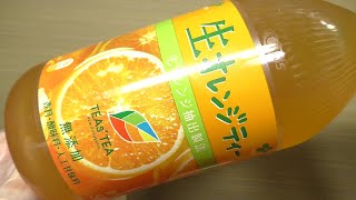 伊藤園 TEAs' TEA NEW AUTHENTIC 生オレンジティー