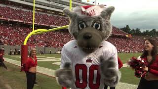 Help Keep the Pack on Track