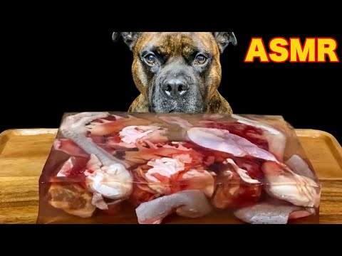 【大食い犬ASMR】超巨大生肉ゼリーに戸惑う愛犬が可愛いすぎるwww