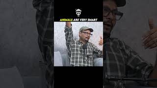 How Smart Are Animals? 🧠🐘 | Animals Are Smarter Than You Think!
Check Out Our Website - https://realhit.in/
How intelligent are animals? 🧠🐅🐘 From solving problems and remembering places to communicating, using tools, and learning from experience, many animals show remarkable intelligence.
Discover some of the most amazing examples of animal intelligence and find out how animals use their brains to survive and adapt in the wild.
⚠️ For educational and wildlife-awareness purposes.
- - - - - - - - - - - - - - - - - - - - - - - - - - - - - - - - - - - - - - - - - - - - - - - - - - - - - -
For business/collaboration, email Info.realshit@gmail.com
- - - - - - - - - - - - - - - - - - - - - - - - - - - - - - - - - - - - - - - - - - - - - - - - - - - - - -
📸Follow Us On Instagram:
Realhit(Official Account): https://www.instagram.com/realhit/
Piyush Gurjar(Personal): https://www.instagram.com/thepiyushgurjar/
Shubham Gandhi(Personal): https://www.instagram.com/theshubhamgandhi/
Deepak Chauhan(Personal): https://www.instagram.com/thedeepakchauhan/
Official Facebook Page - https://www.facebook.com/share/14yJE9qfvY
Official Other Channel -
https://www.youtube.com/channel/UCfr63IkBL9opvBYDhkR0q1A
RealTalk Clips(Official): https://www.youtube.com/@realtalkclipp
DSP Vlog: https://www.youtube.com/@DeepakShubhamPiyushVlogs
RealTalk Shorts : https://www.youtube.com/@realtalkshorts6062
Shubham(Personal): https://www.youtube.com/@shubhamgandhi4870/videos
Deepak(Personal): https://www.youtube.com/@DeepakChauhan-ui1bv/videos
Piyush(Personal): https://www.youtube.com/@piyushgurjar2249
📸Follow Us On Facebook: https://www.facebook.com/RealShitVideos/
- - - - - - - - - - - - - - - - - - - - - - - - - - - - - - - - - - - - - - - - - - - - - - - - - - - - - -
Actual intro
Time Stamp
- - - - - - - - - - - - - - - - - - - - - - - - - - - - - - - - - - - - - - - - - - - - - - - - - - - - - -
PRODUCED BY- RealHIT
Managed By- Kundan Yashputra
DIRECTOR -Team Realhit
DOP - Deep Sharma
Edit- Faizal, Harsh, Ayush, Kunal & Team RealHit
About:
Content repurposed from India’s 1st and Biggest Tri-Host Podcast channel, the Realtalk channel offers short-form snack-able content that will help you fulfill your curious minds with insights into every industry through informative yet entertaining content.
Founded by Shubam, Piyush, and Deepak in 2015, it is India’s 1st Tri-Host Podcast channel that asks questions that you have in your mind and gets relevant answers from people that have become successful in their respective domains.
From entertainment to science, there is something for everyone on this channel. The candid nature of interviewing guests and the non-biased questions from the hosts are something that makes the conversations unique and more insightful.
Remember to SUBSCRIBE and CLICK the notification bell to stay updated with the latest videos!
#realhit #podcast How Smart Are Animals? 🧠🐘 | Animals Are Smarter Than You Think!