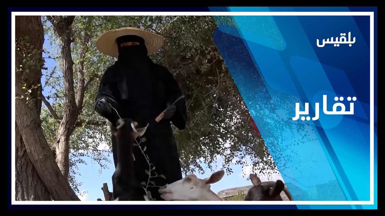 منيرة أحمد.. أمراة يمنية تتحدى قسوة الريف | تقرير: فواز الحمادي