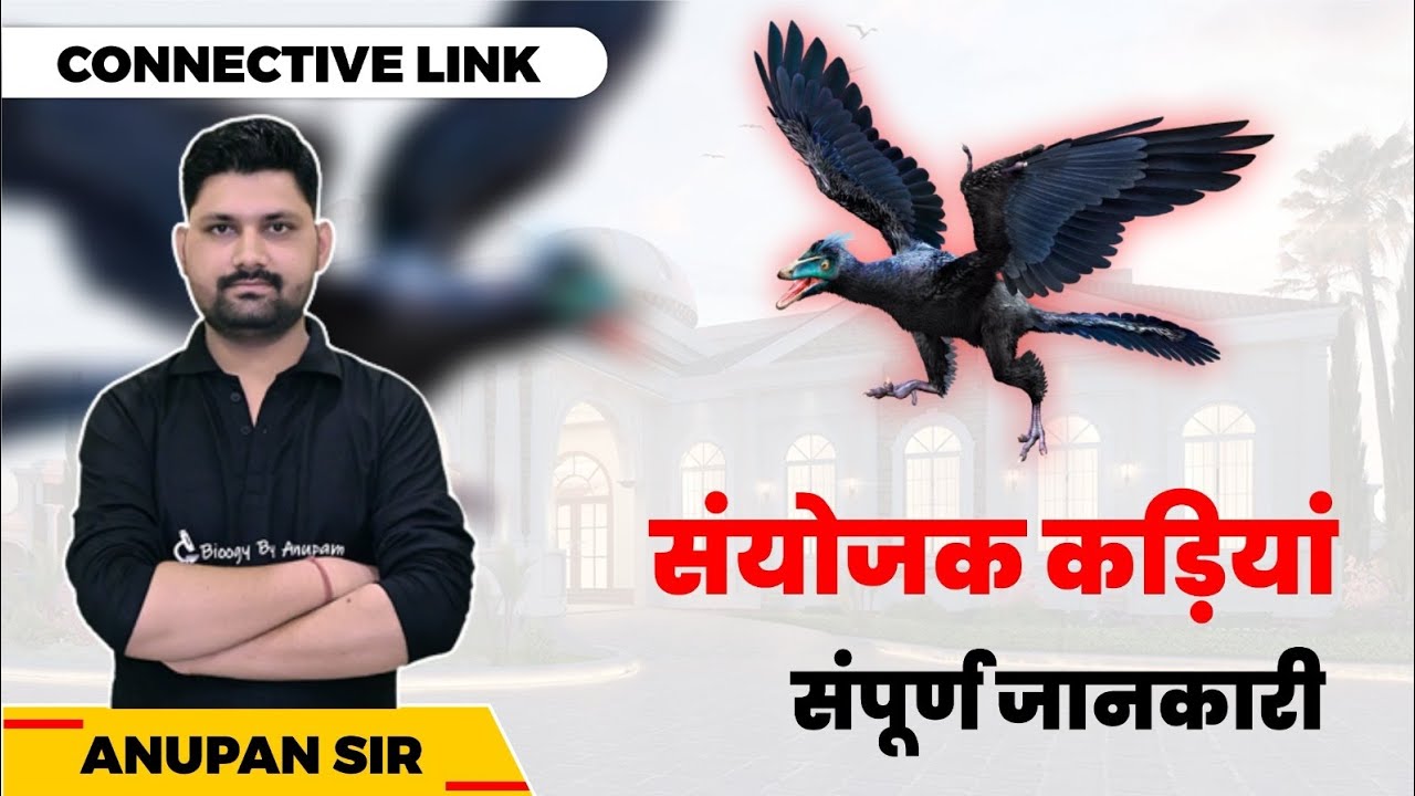 संयोजक कड़िया क्या होती |  