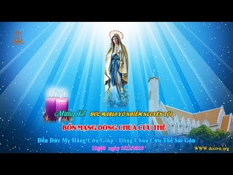 Video Thánh Lễ Mừng Kính Đức Maria Vô Nhiễm Nguyên Tội... - youtube