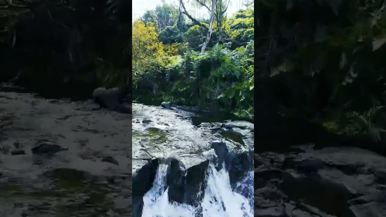 Wailuku watershed cruise