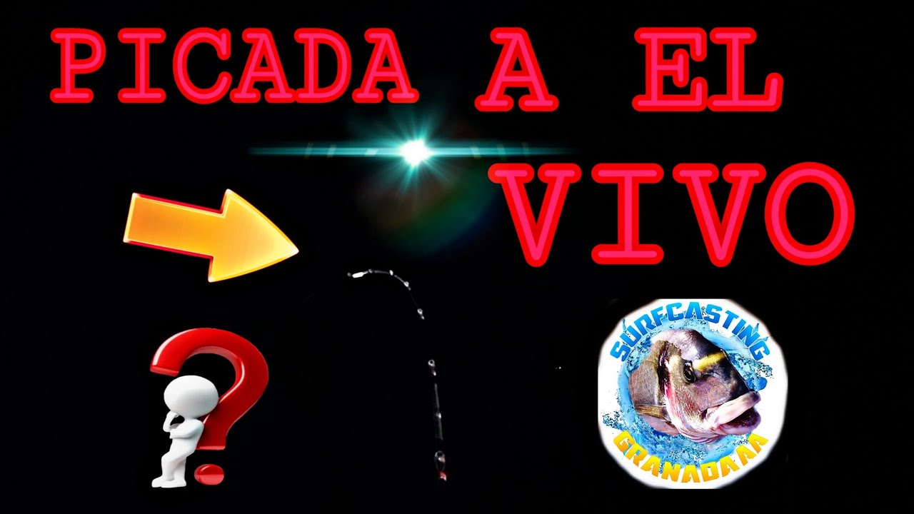 🔥PICADA AL VIVO, JORNADA BUENA PESCA SURFCASTING GRANADA 🔥