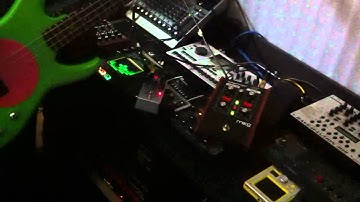 Flea Bass + Copilot Fx Orbit + MoogerFooger MF-101