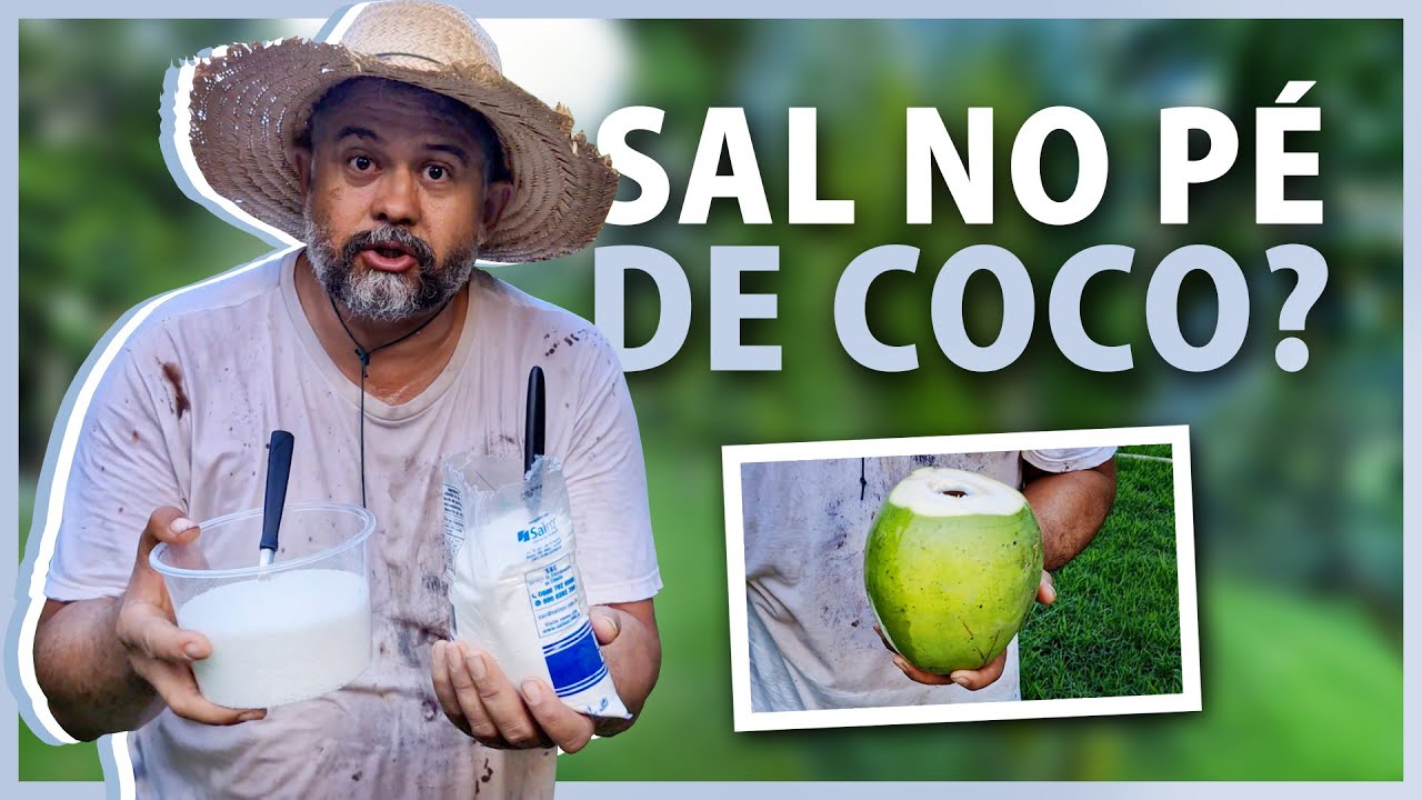 Melhor adubação para seu pé de coco produzir