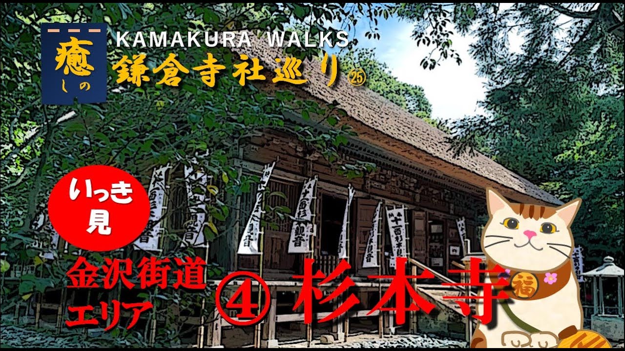 杉本寺　【いっき見版】～鎌倉最古のお寺　悠久の時を刻む苔の石段　千年の秘仏：（金沢街道エリア④　：鎌倉散歩：お寺巡り㉕）　　　～KAMAKURA WALKS