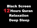 12 hours beautiful quran recitation  relaxation deep sleep  stress relief   black screen