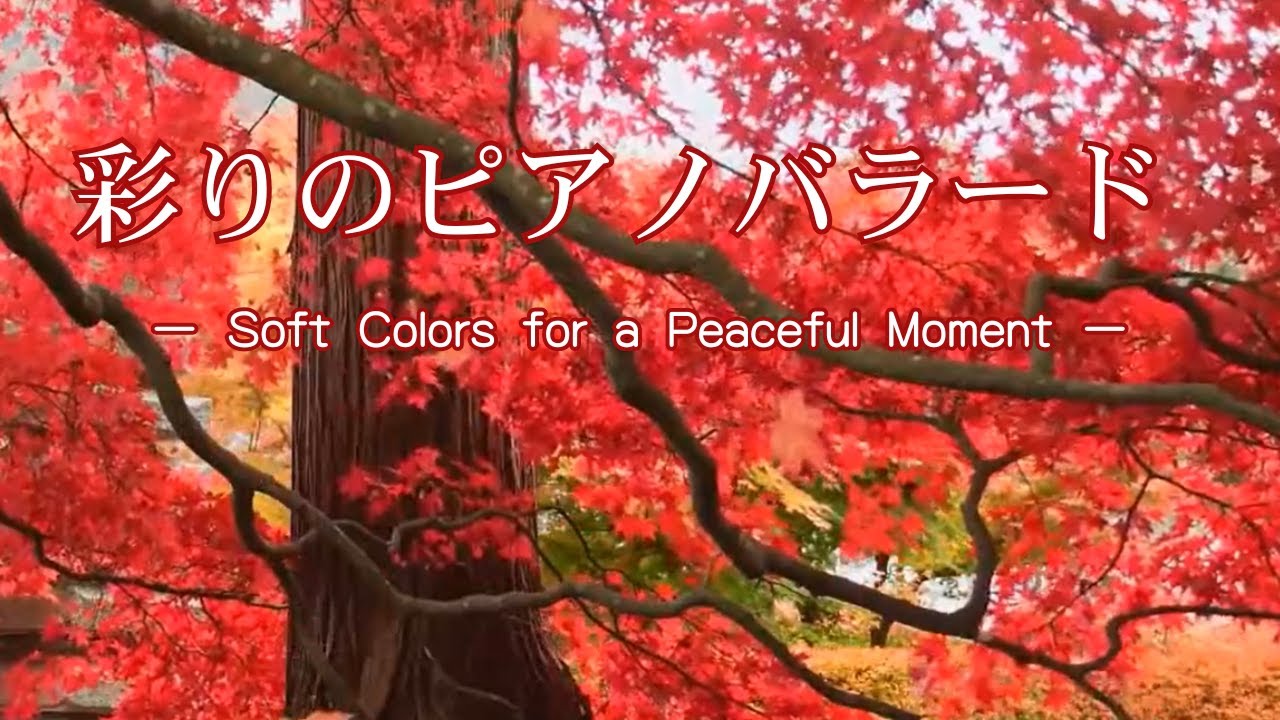 【癒しBGM】美しい秋の彩りと心やすらぐピアノバラードの調べ