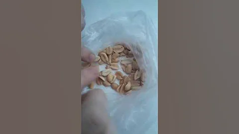 Живые червяки ползают в орехах