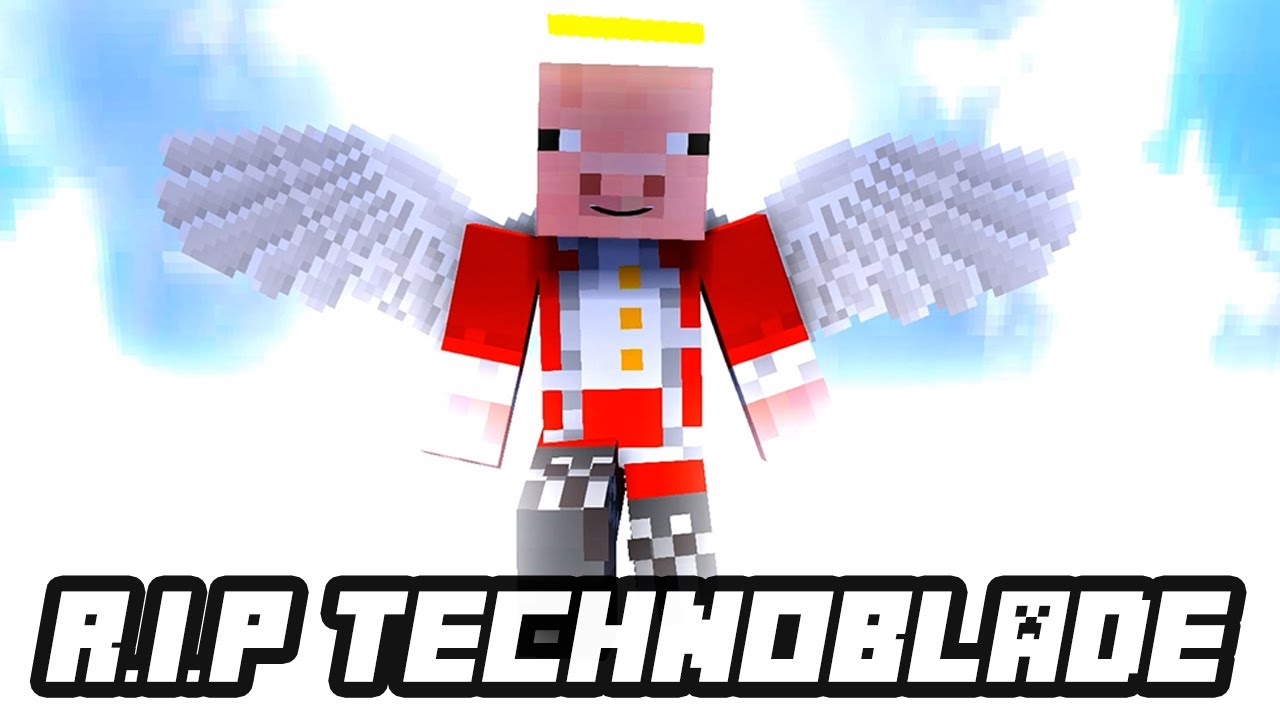 It's been 365 days since we lost technoblade. Technoblade never dies :  r/Minecraft