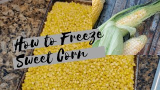 How to Freezer Sweet Corn + Best Recipe