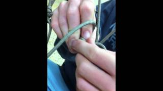IMG 0235 IMG 0235