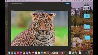 [MAC] Image Viewer Deluxe from Mac App Store Basic Overview