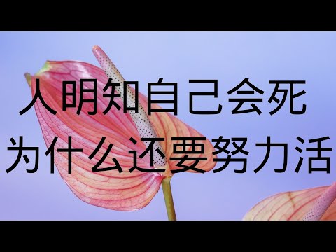 人明知自己会死 为什么还要努力活