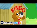 BINGO | Morphle | Kids Learning Videos | Nursery Rhymes | ABCs And 123s