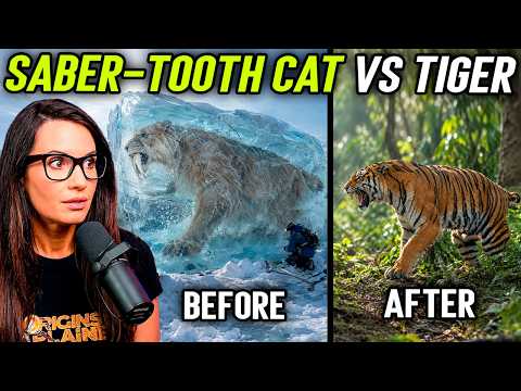 Prehistoric Beasts: Why They Were So Much Bigger Than Today's Animals