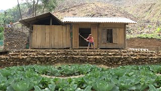 Full Year: 365 Days Alone Building Complete Wooden Houses - BUILD LOG CABIN Structures Around House by Dao Farm Life 12,481 views 2 months ago 4 hours, 24 minutes