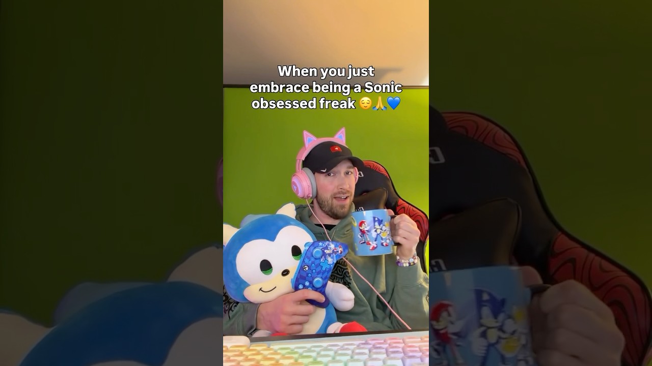 When You Finally Accept You're a Sonic-Obsessed Freak 😌💙