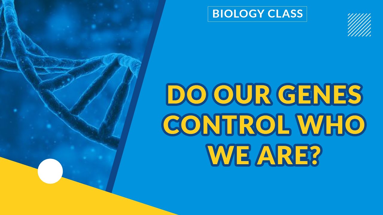 GENETICS PART 1| DO OUR GENES CONTROL WHO WE ARE? | BIOLOGY - YouTube