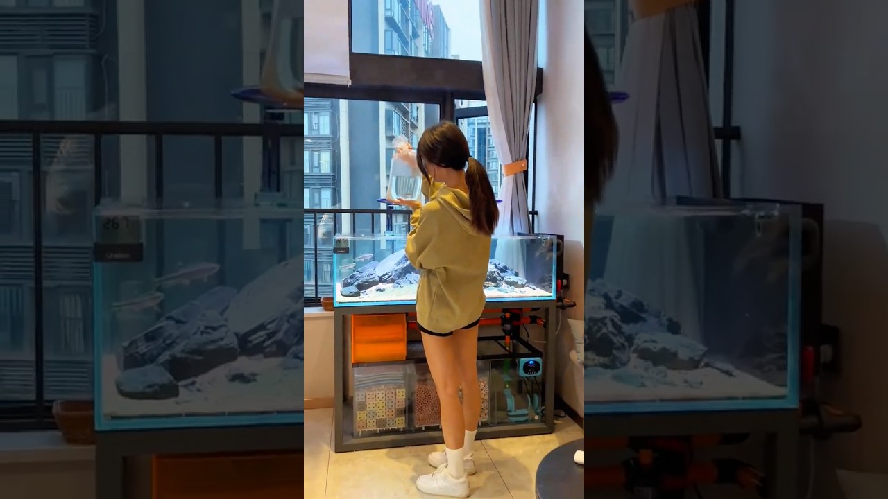 👾First Fish in My 120cm Stream Tank! 💋Adding Stunning Roseline Sharks My Dream Fish! (Day 3)🥰