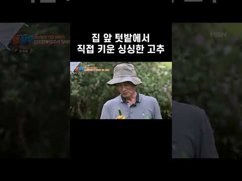 집 앞 텃밭에서 직접 키운 싱싱한 고추 #shorts | 명을 사수하는 사람들 <strong>명사수</strong> 34회