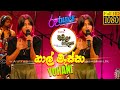 Api Natamu Baila Wayala Viyole | අපි නටමු බයිලා වයලා වියෝලේ | Yohani | Baila Sadaya