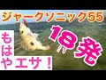 ジャークソニック55で5投連続ヒットにもタイムラプス気付かず！計18発！　冬のウェーディング　沖縄ルアーフィッシング　沖縄釣り　ワールドシャウラ　ツインパワー XD