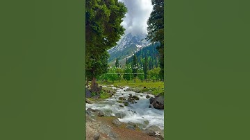 إن المتقين في جنات وعيون 🕊️ | نعيم لا نهاية له (سورة الحجر - هزاع البلوشي)