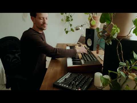 Sunset Chill - Live Electronic Session