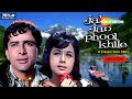 Jab Jab Phool Khile Nanda Shashi Kapoor Superhit 80 S Romantic Movie 