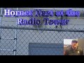 Hornet Nest on the Radio Tower
