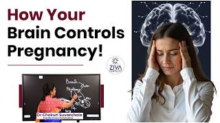 Your Brain Controls Everything | Pregnancy Hormone Secrets | Dr C Suvarchala | ZIVA Fertility