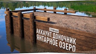Янтарное озеро • Русская Рыбалка 4 • Прокачка Донка #49