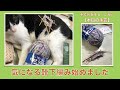 気になる靴下編み始めました【本日の手芸】today's handicraft